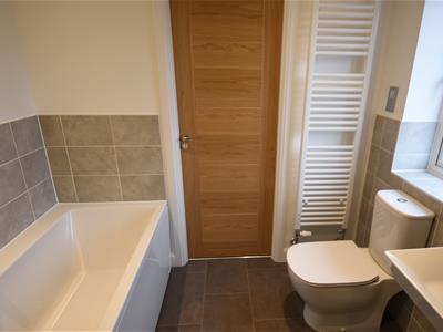 Picture 24